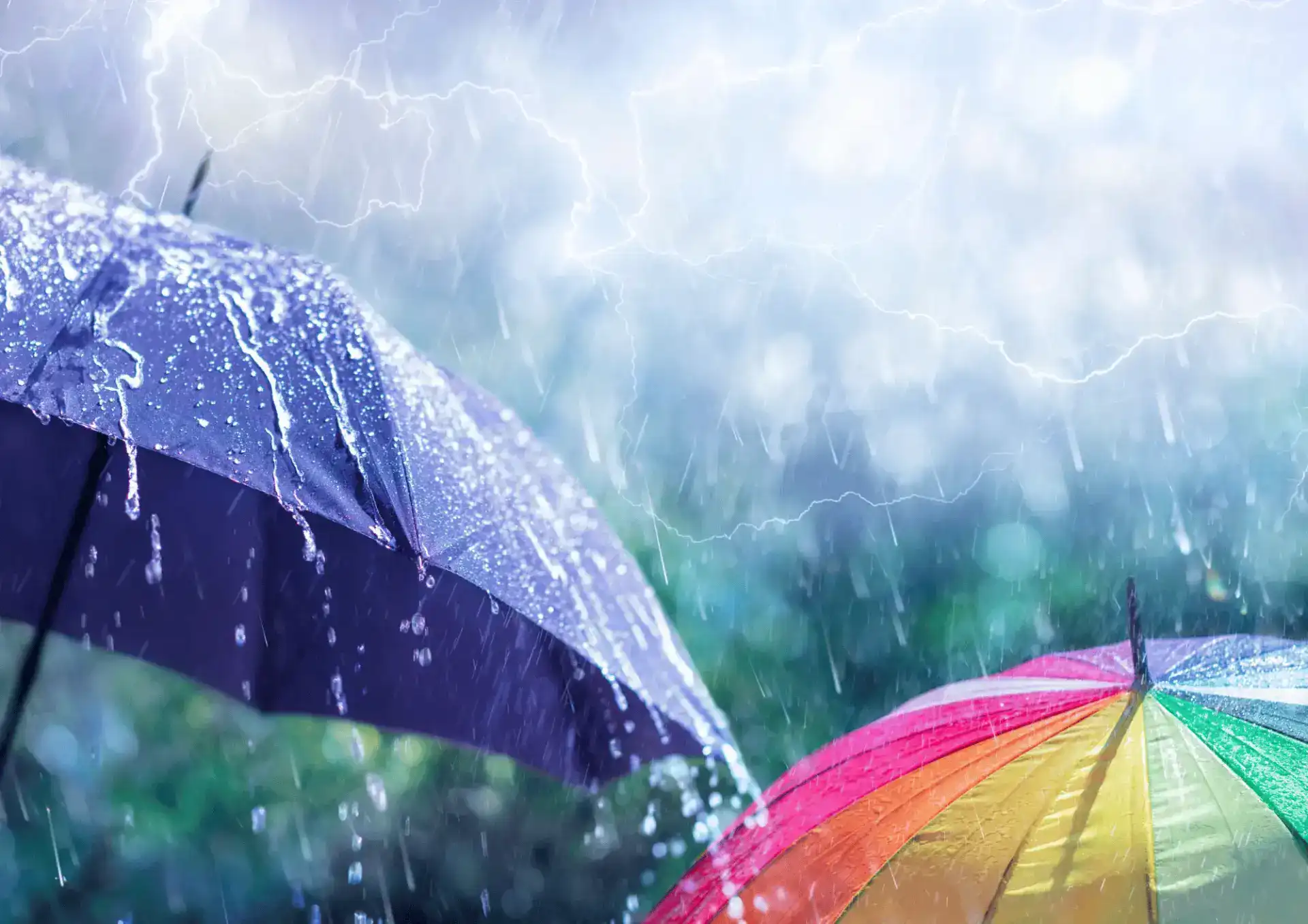 Causas y consecuencias de la lluvia ácida en los ecosistemas y bosques