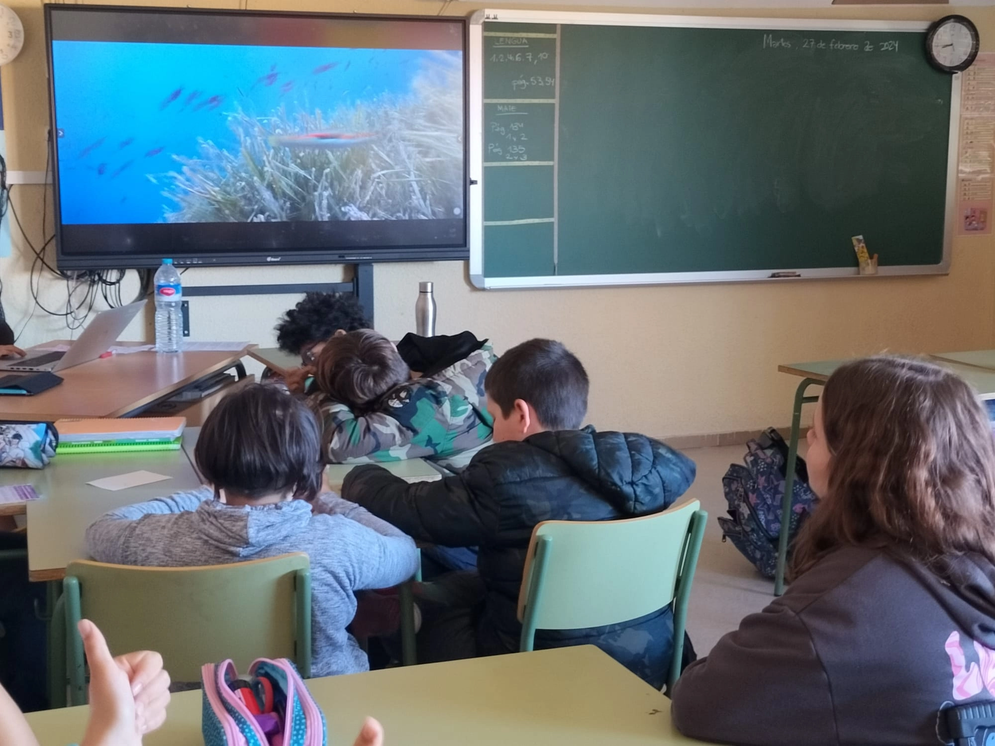 Proyecto STEM ¡Salvemos el planeta! y la integración de Naturaliza en el currículo