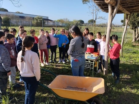 Proyectos verdes e interdisciplinares en el CEIP El Santiscal