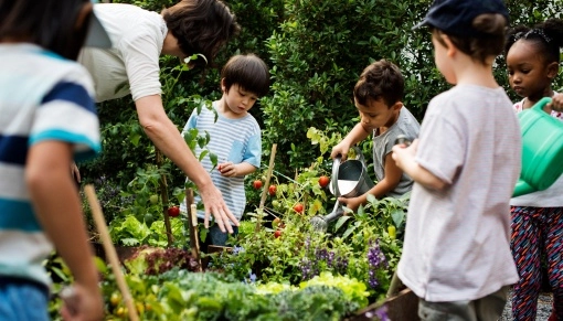 Alumnado participando en una actividad ambiental al aire libre con plantas