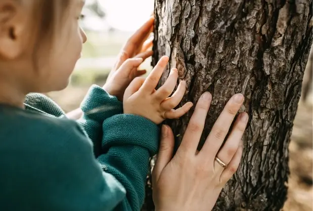 Alumnado explorando la corteza de un árbol durante una actividad en la naturaleza