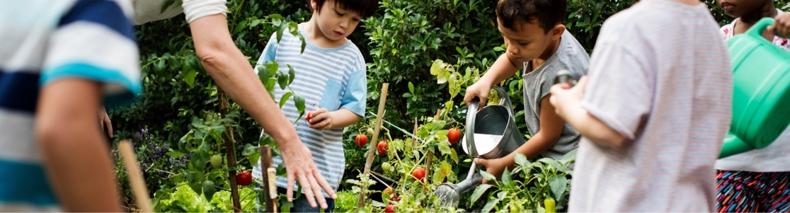 Recursos didacticos naturaliza