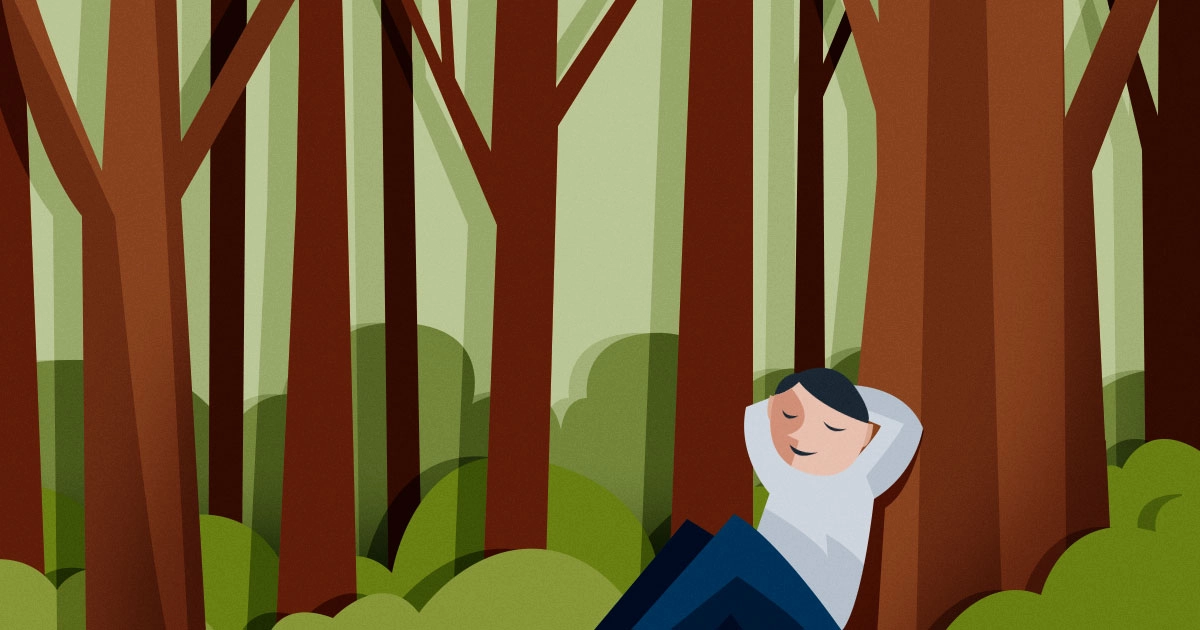 Que este verano no falten los baños (de bosque)