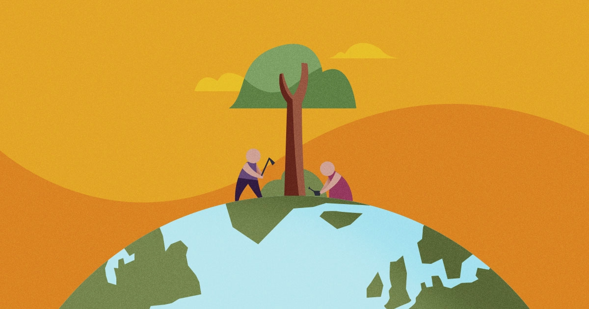 Reforestación: ¿Pueden los árboles solucionar el cambio climático?