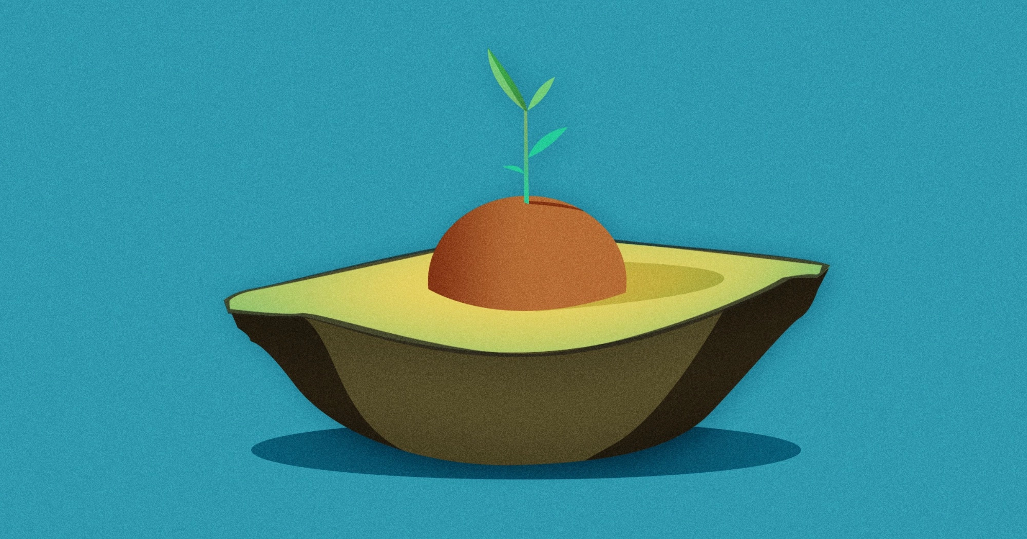 Cómo plantar un hueso de aguacate: guía completa