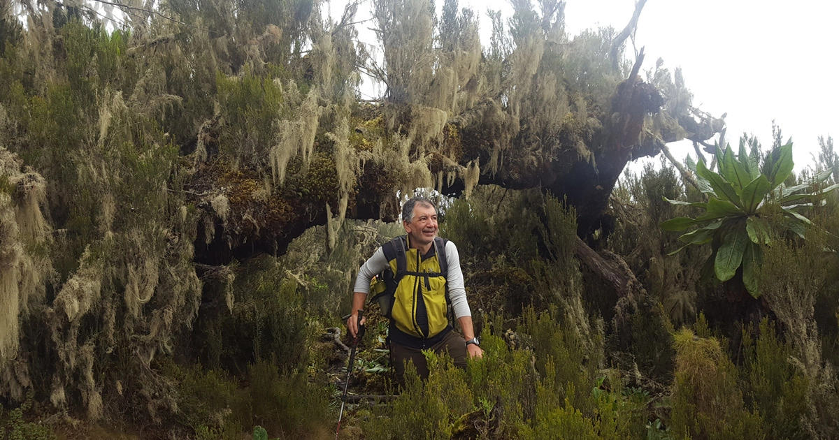Javier Benayas: «Solo si tenemos capacidad de acción, la educación será un arma cargada de futuro»