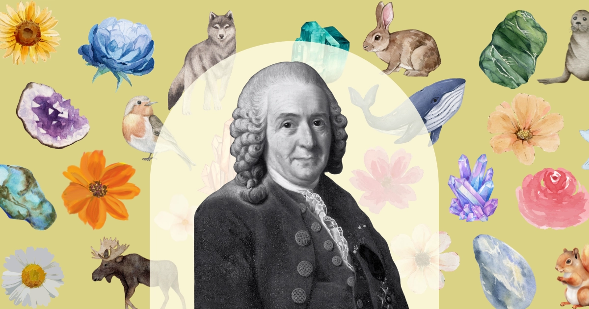 Carlos Linneo, el creador de la nomenclatura científica