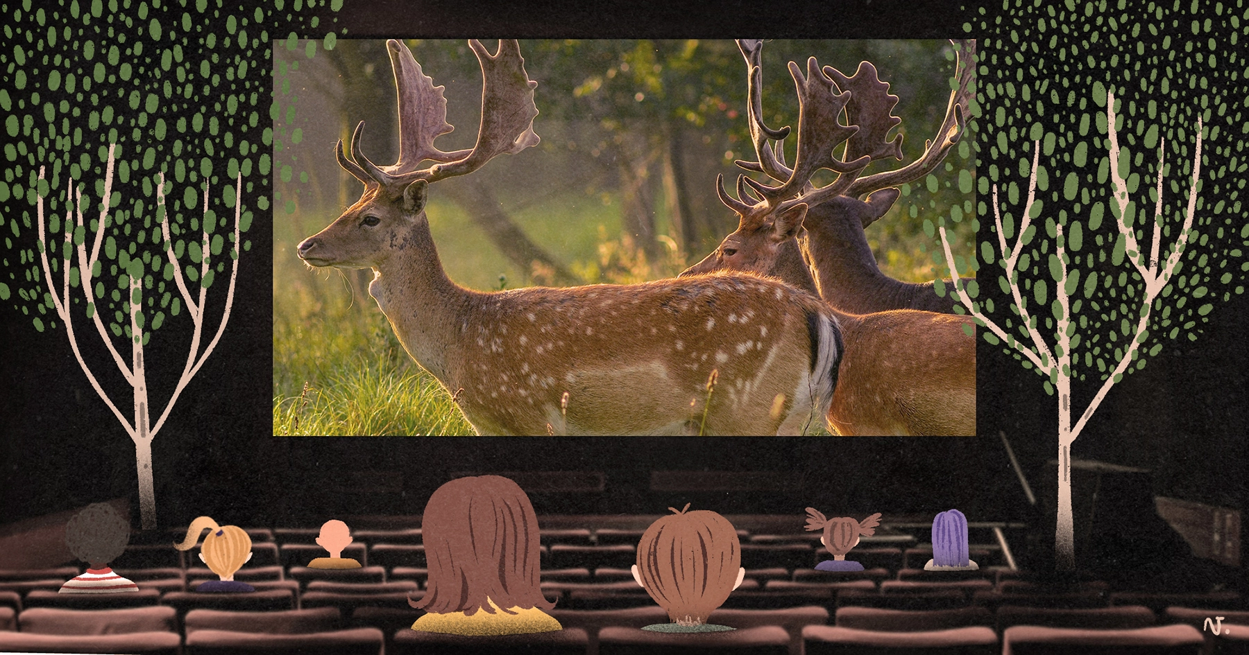 El cine que nos reconecta con el planeta