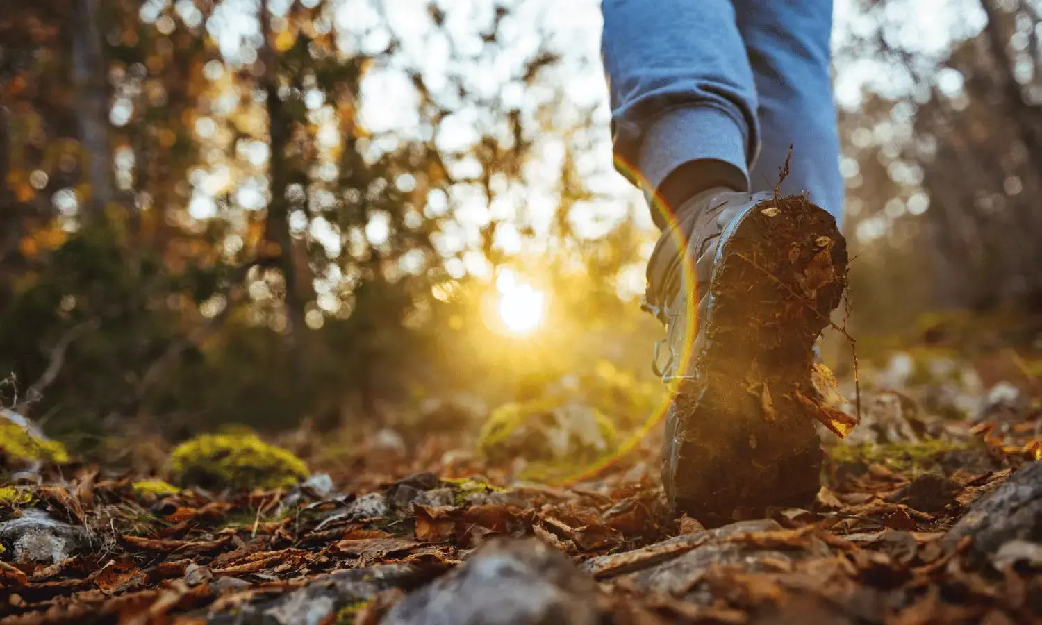 Guía práctica sobre cómo orientarse en la naturaleza y el bosque