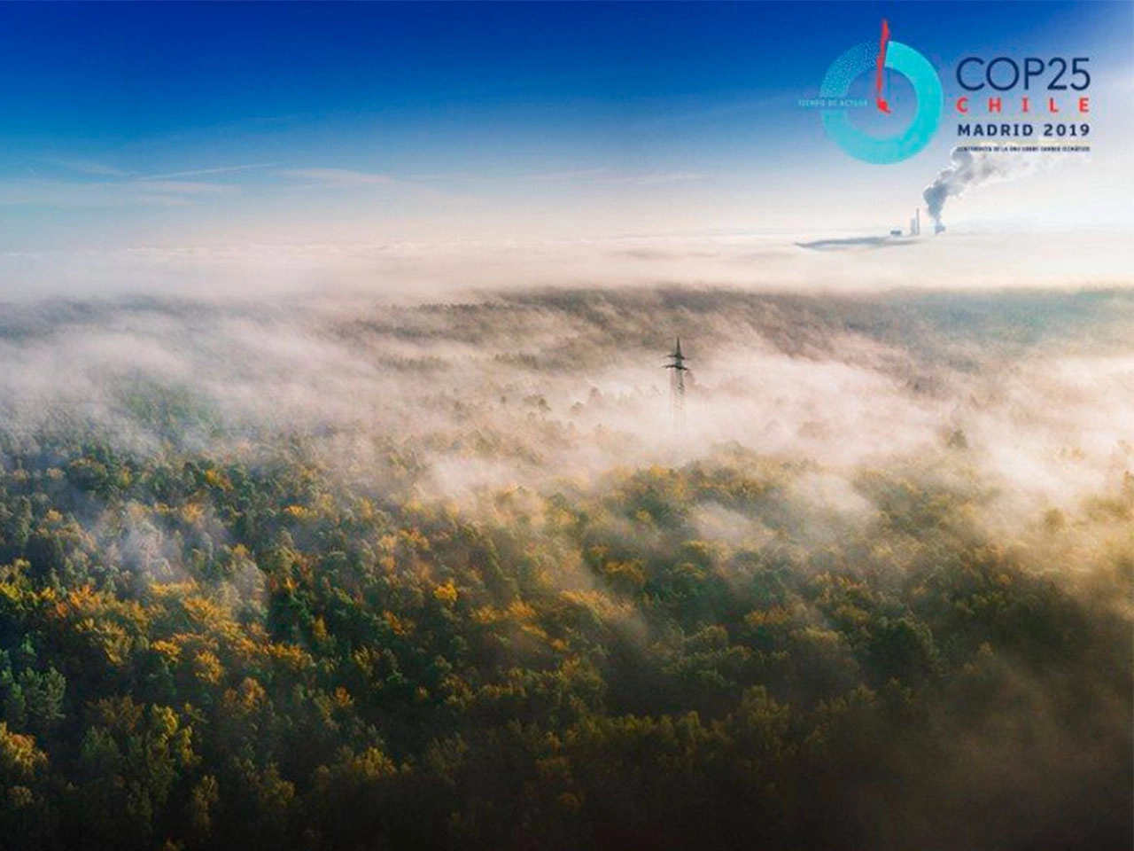 Qué se decidirá en la COP25 de este año en Madrid