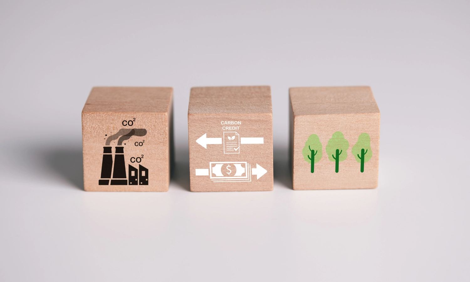 creditos de carbono