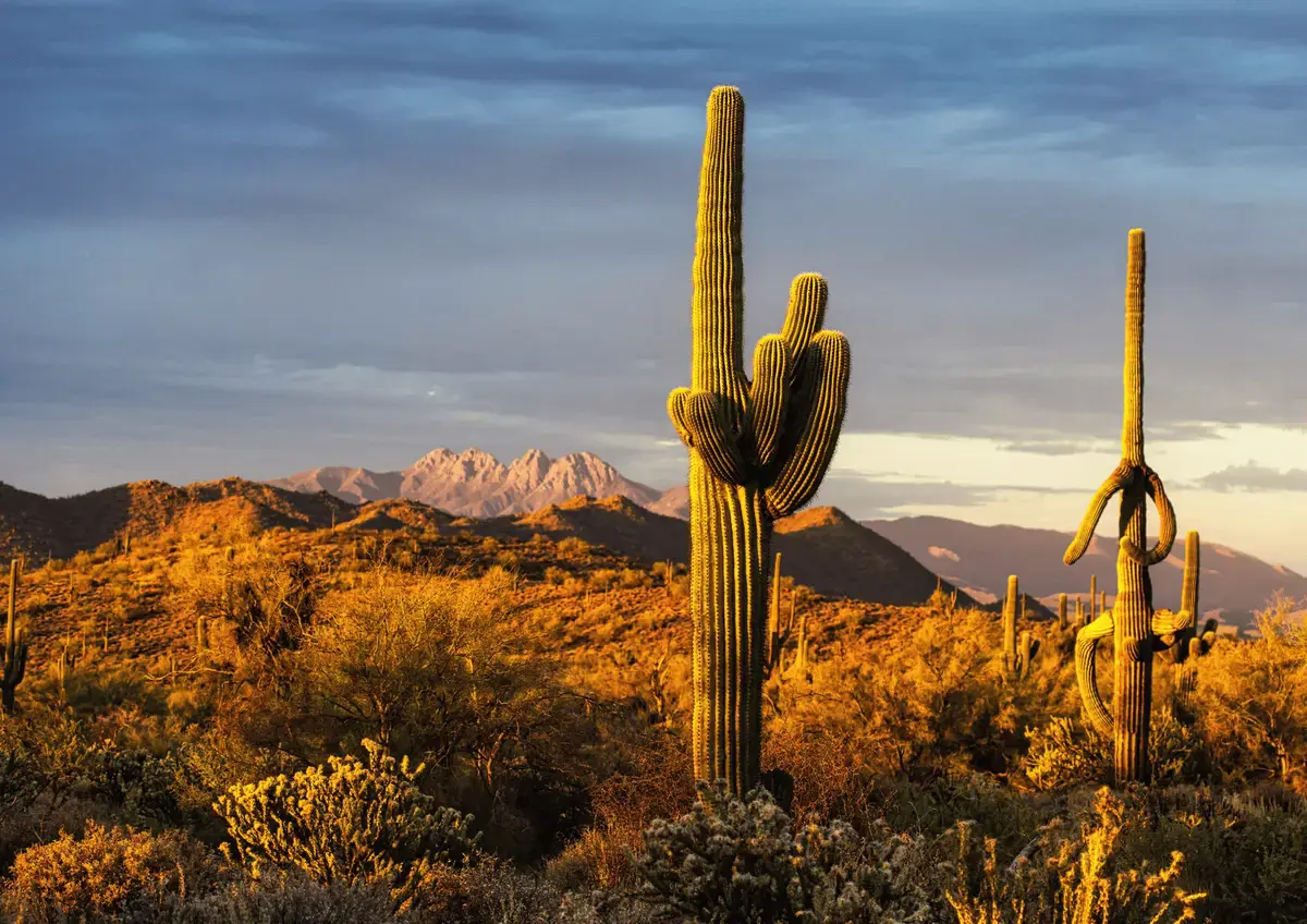 Paisaje desértico con características de ecosistemas áridos