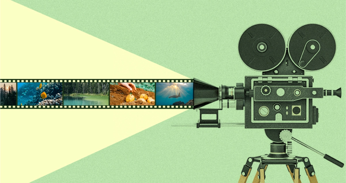 Seis documentales ambientales para ver en vacaciones