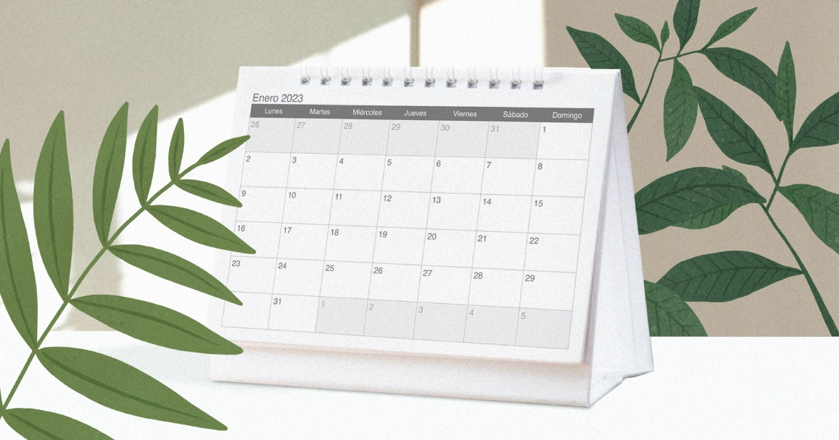 Fechas en 2023 para celebrar el medioambiente