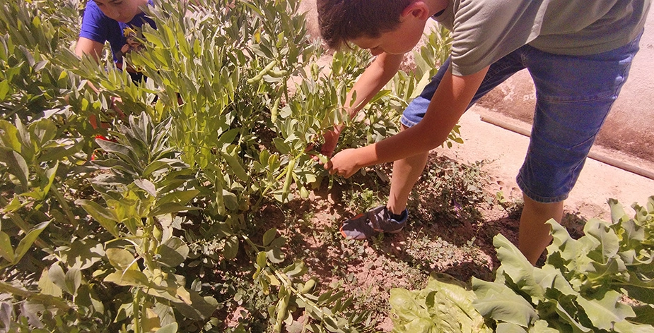 Huerto intergeneracional