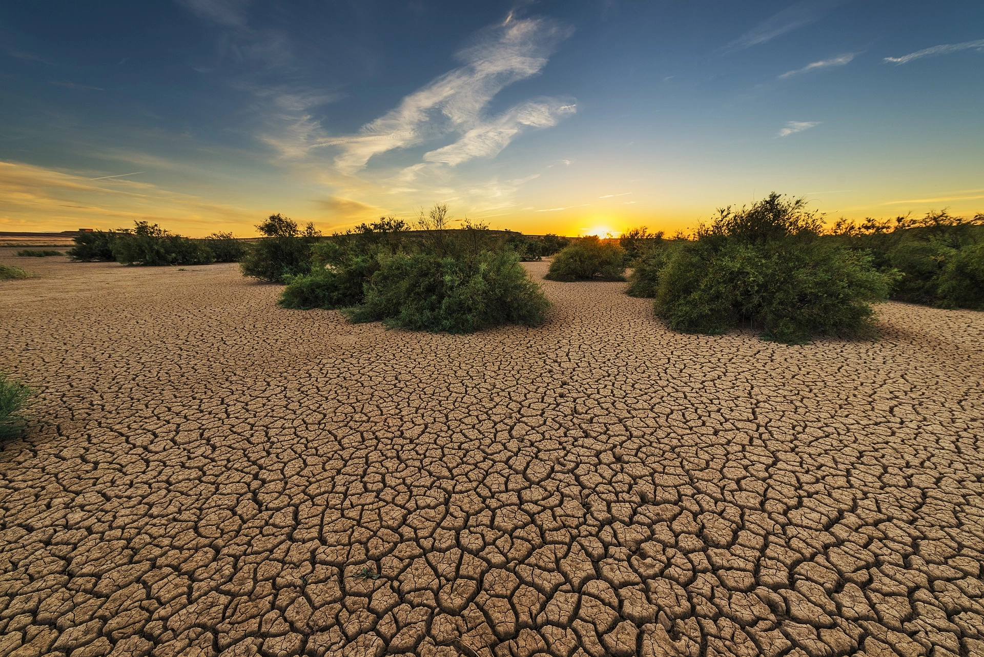 Observatorio escolar de la sequía, tomando conciencia de los efectos de la falta de lluvia