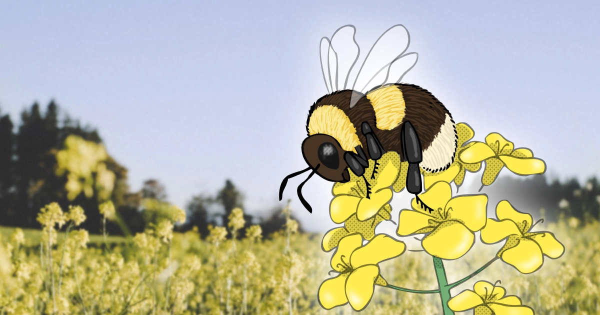 Animales que se adaptan al medio (y al cambio climático)