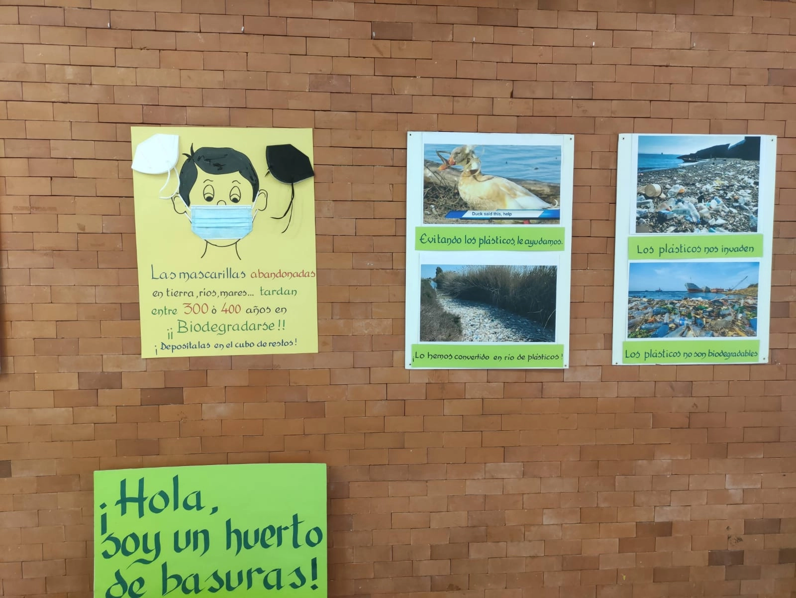 “Naturaliza nos ayudó a dotar de un hilo conductor a las actividades ambientales que realizábamos en el centro”