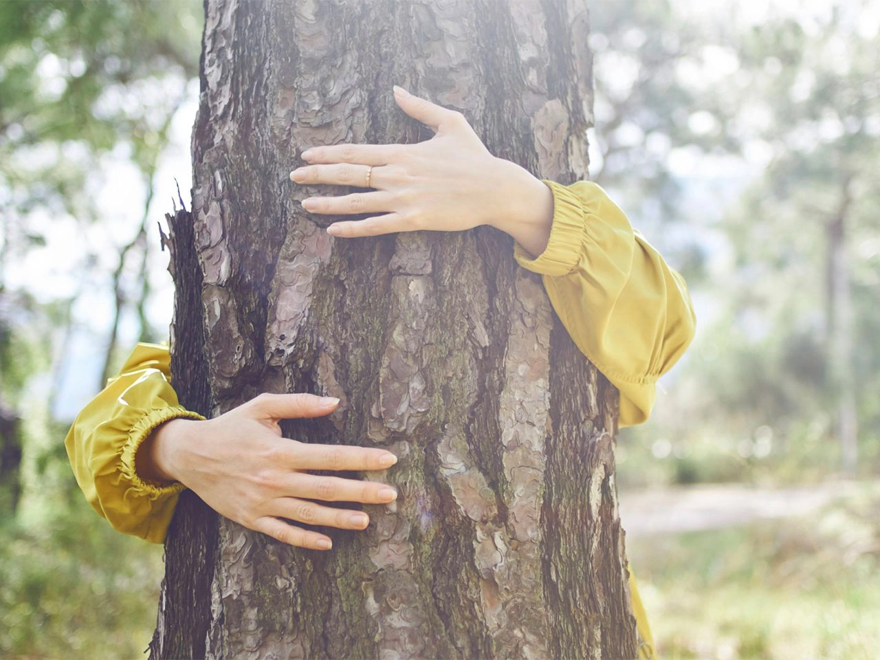 Semana de concienciación: guía para todo el año