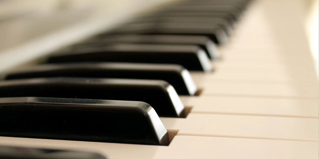 La música, un vínculo que trasciende especies