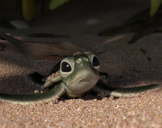 La basuraleza en el mar se tiene que acabar