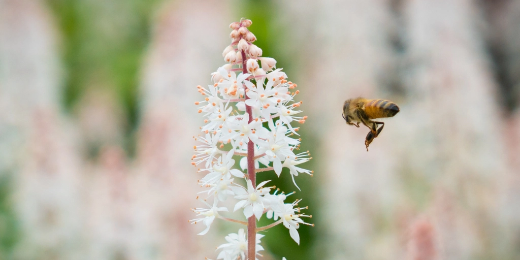 ¿Qué es la Ley de Restauración de la Naturaleza y cómo impacta?