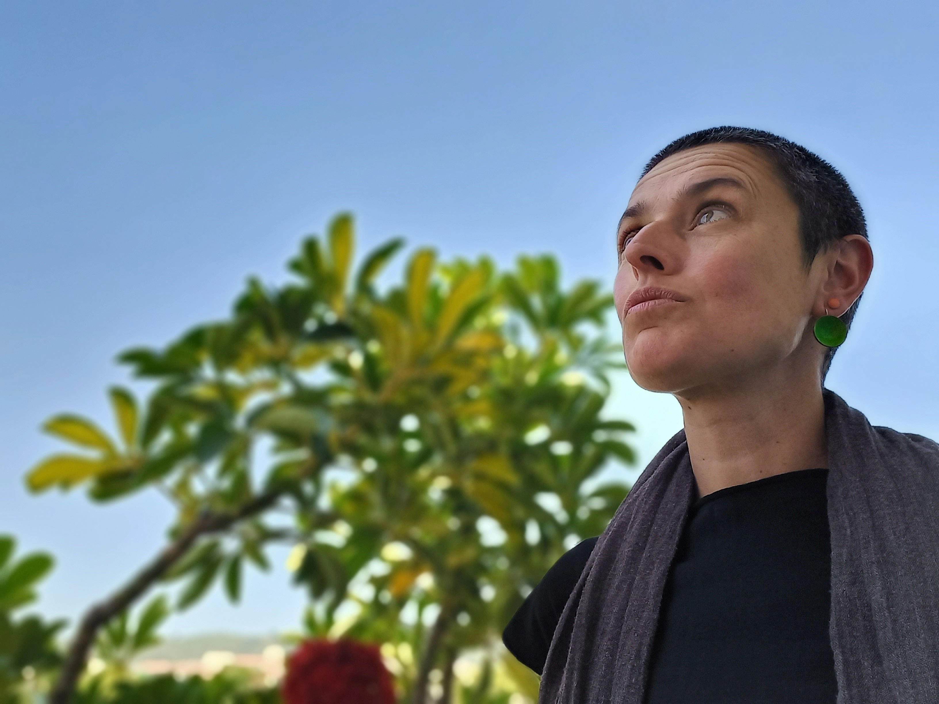 «La naturalización de la escuela pasa por la naturalización pedagógica»