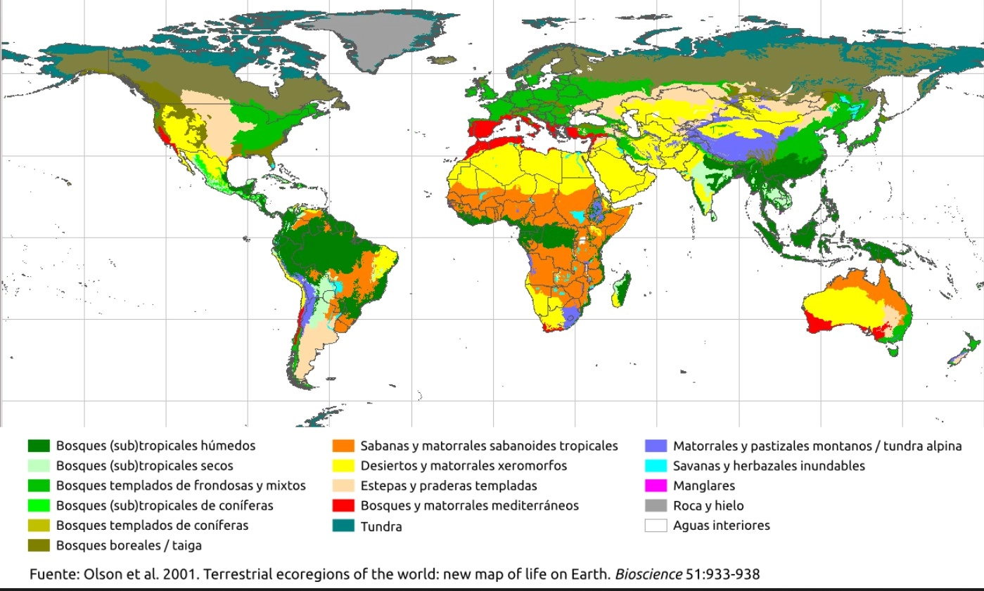 Mapa de biomas terrestres y ecosistemas del planeta