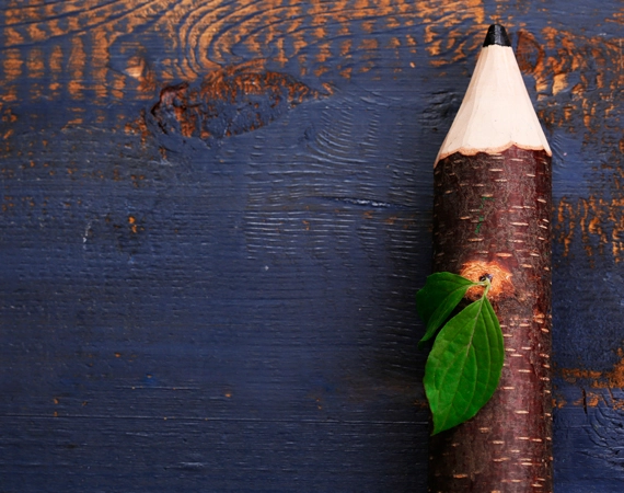 Los educadores y las educadoras ambientales