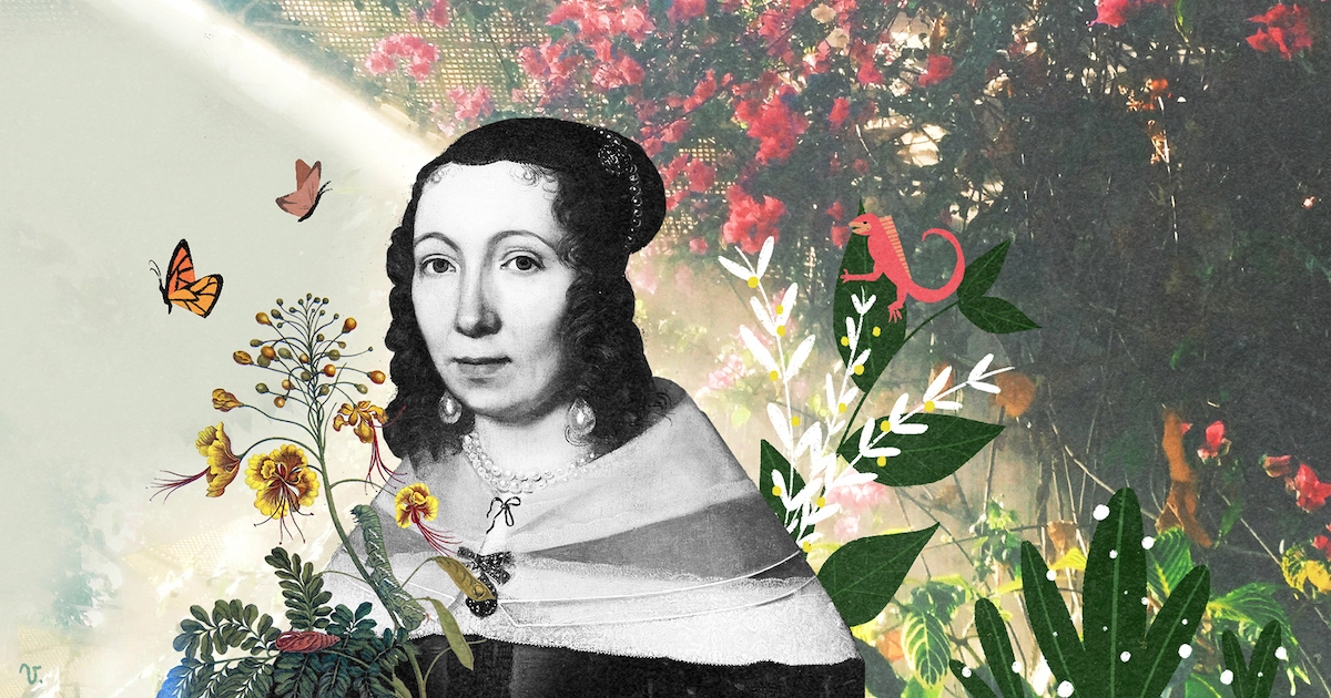 Maria Sibylla Merian y el arte de los insectos