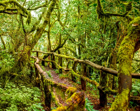 Los 15 parques nacionales de España