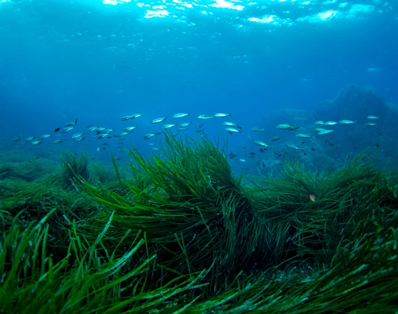 Guía para el Turismo Sostenible
