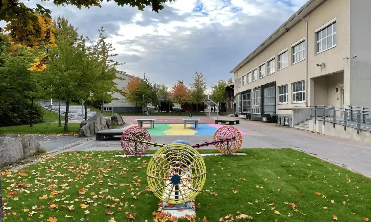 Naturalización y transformación del patio escolar para el aprendizaje al aire libre