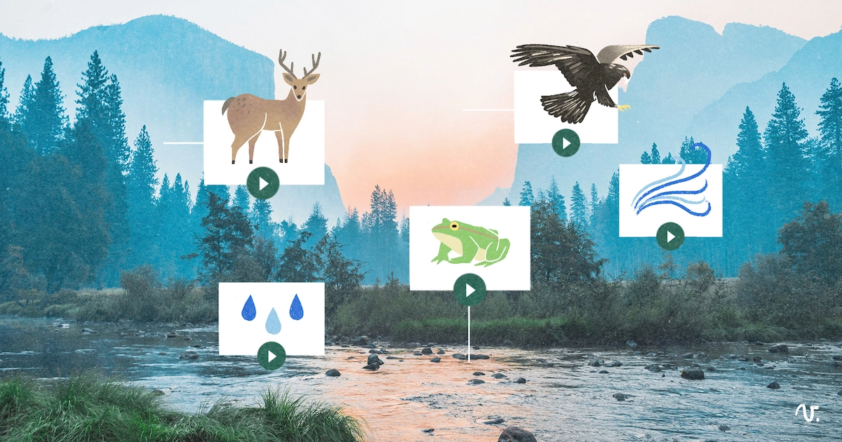 Paisaje sonoro para descubrir la naturaleza en clase