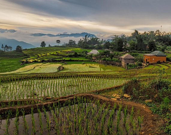 Suelos: espacio de biodiversidad y generación de vida