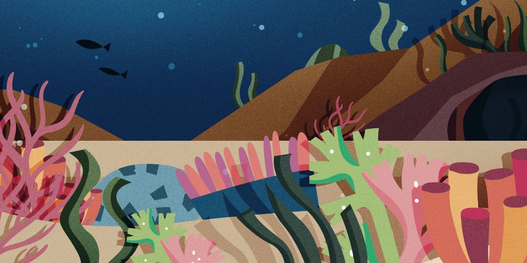 Islas paradisíacas en España para educar sobre biodiversidad marina