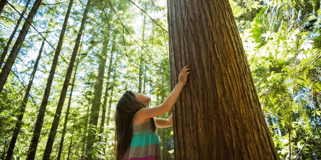 Educación ambiental para curarse en salud