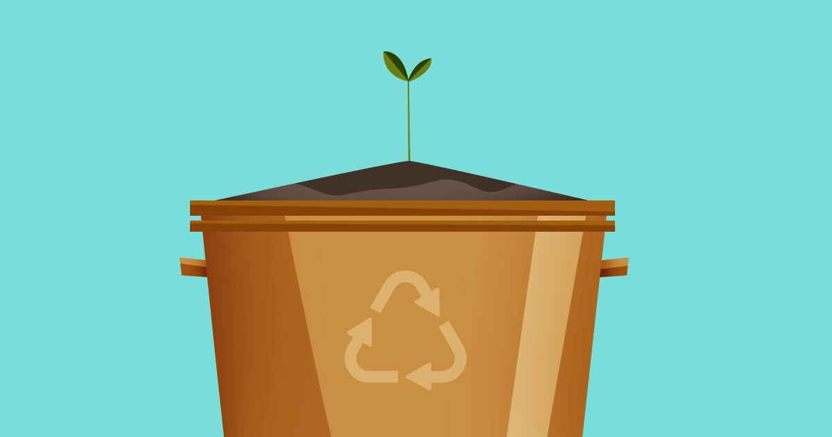 Reciclaje orgánico: Cuando la basura se convierte en vida