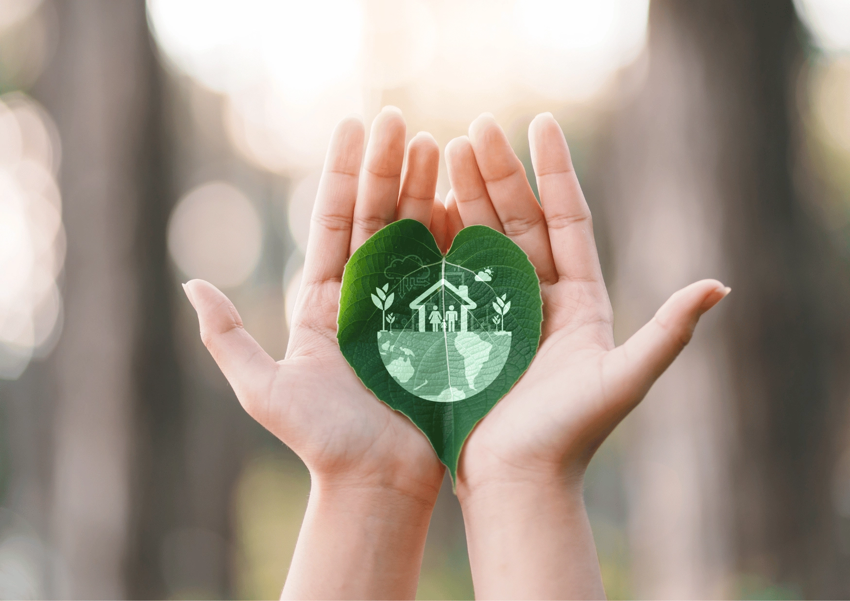 Desarrollo sostenible