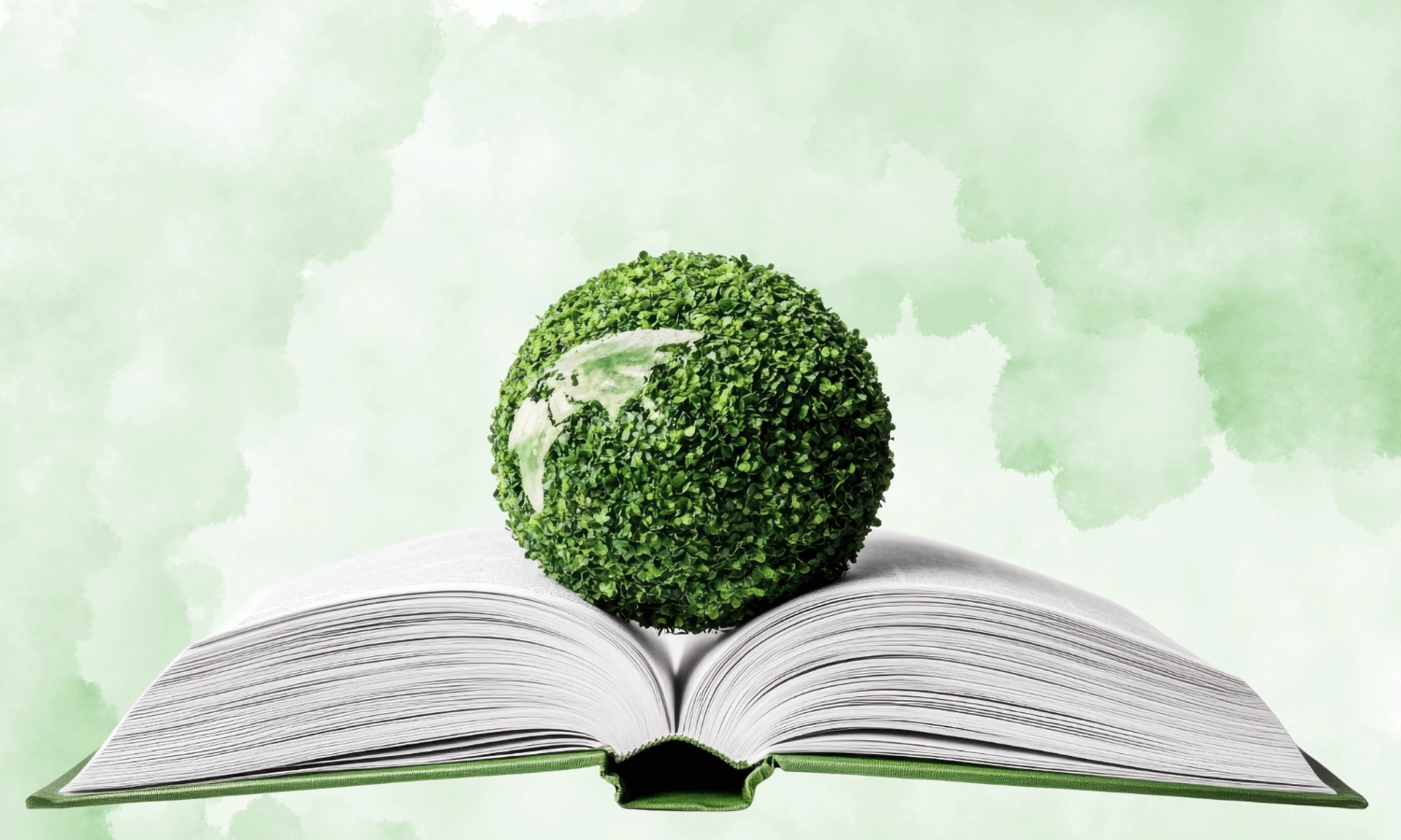 dia de la educacion ambiental