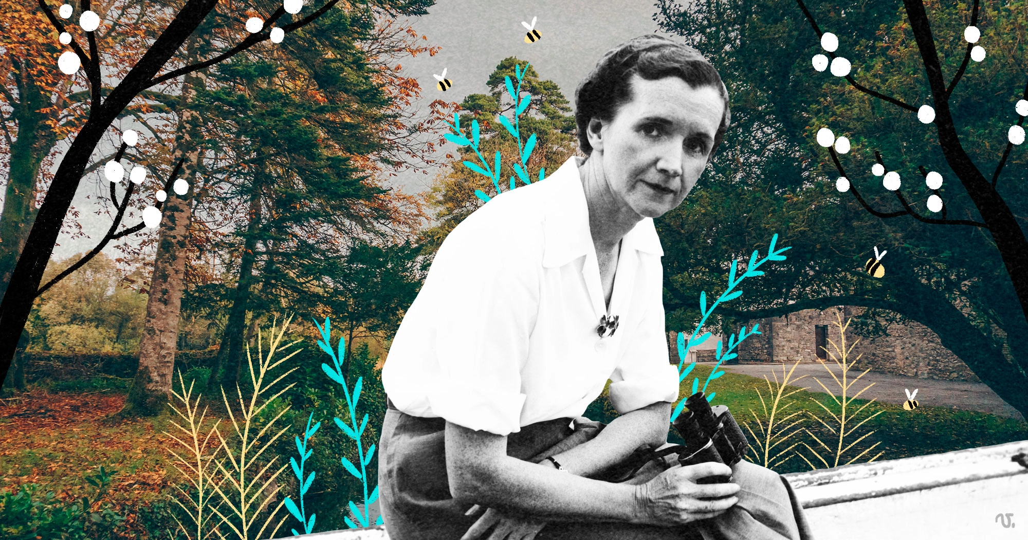 Rachel Carson: una mujer pionera en la protección ambiental