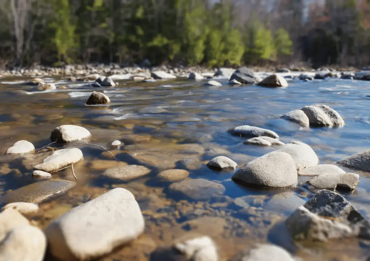 Río en ecosistema natural con vegetación y fauna silvestre