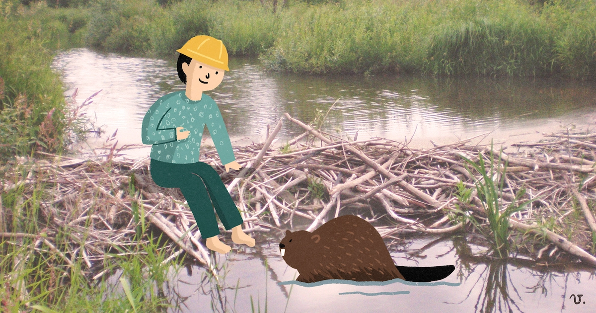 ¿Qué son las Soluciones Basadas en la Naturaleza? ¡Cuéntalo en tu aula!