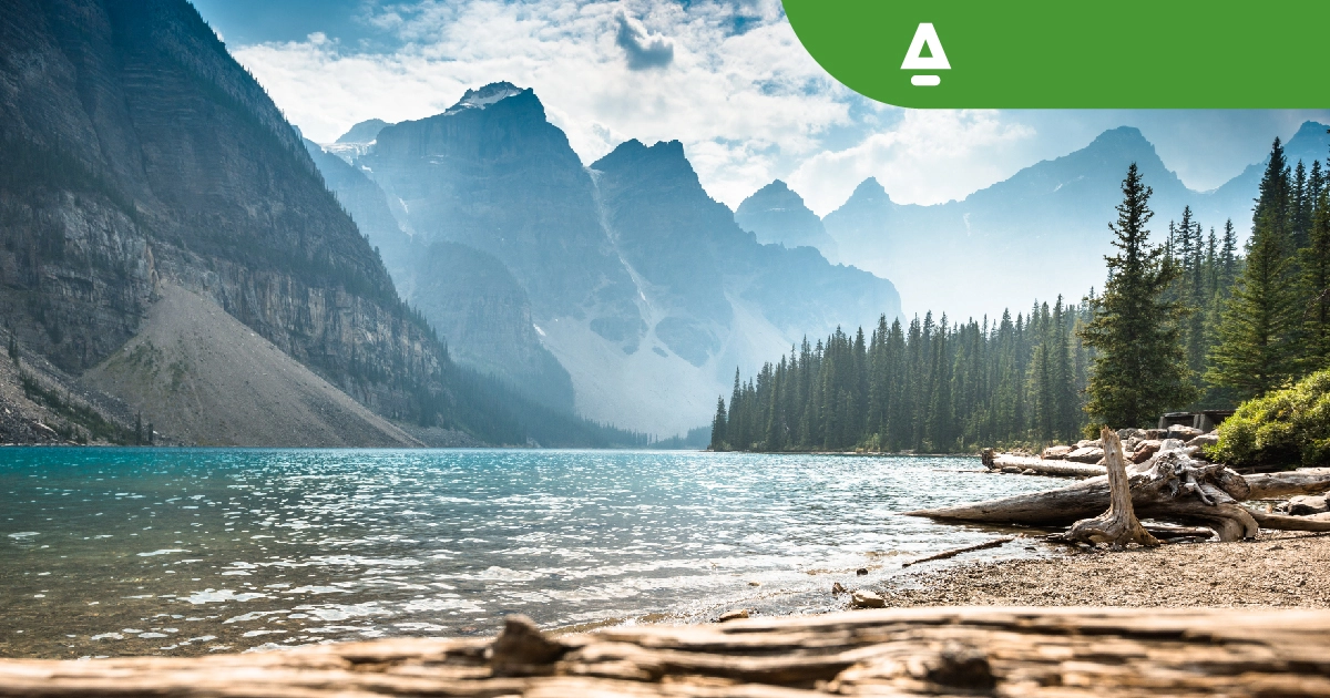 Naturaliza, presente en el Congreso Internacional IAPS gracias al catedrático José Antonio Corraliza