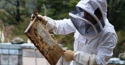 Investigando la biodiversidad