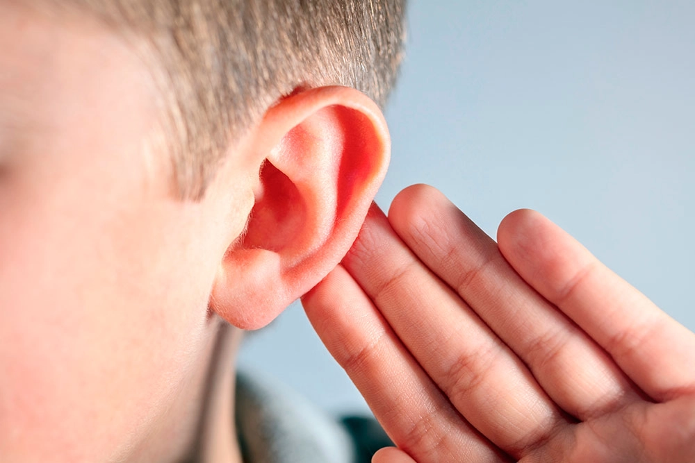 Con los cinco sentidos