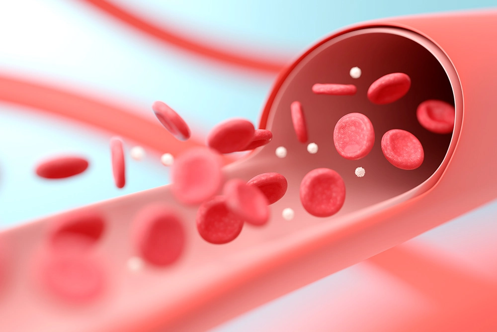 La salud en el centro