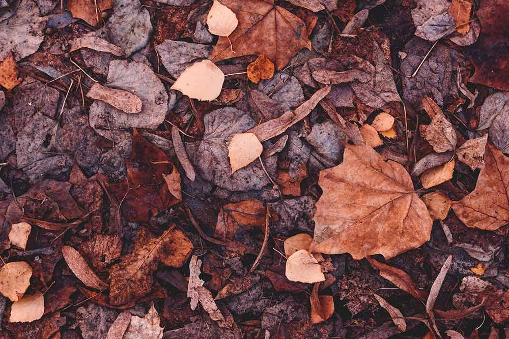 El secreto para la vida buena