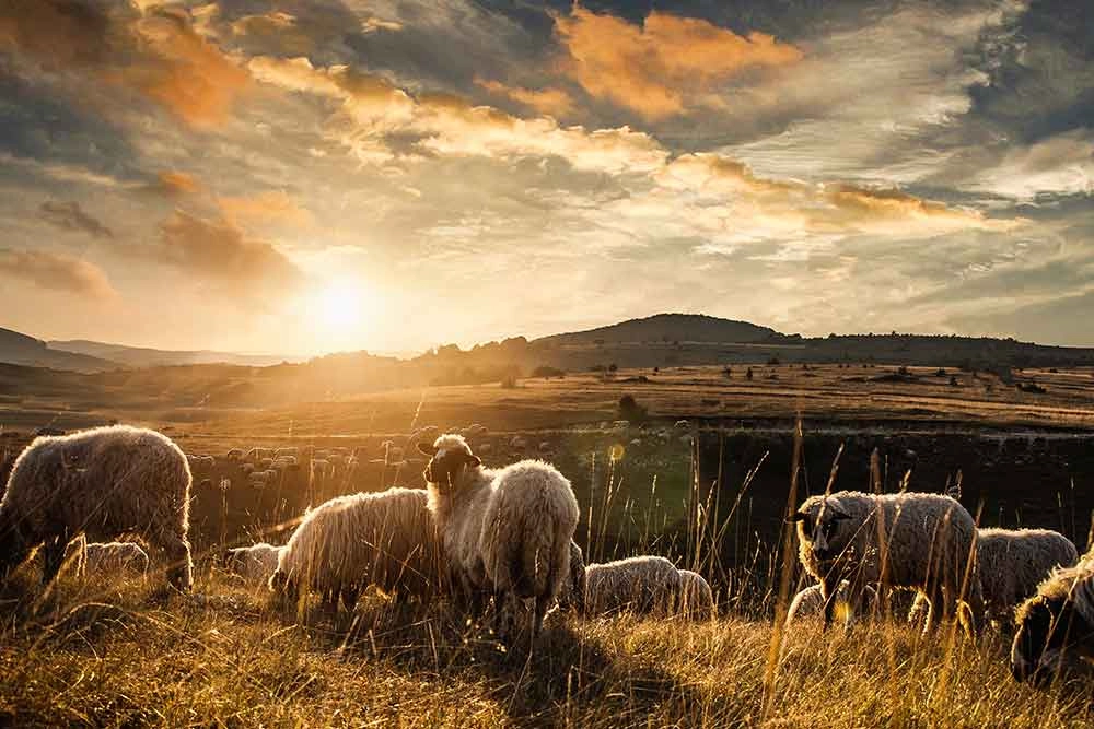 Materiales, ¿piedra, papel o tijera?