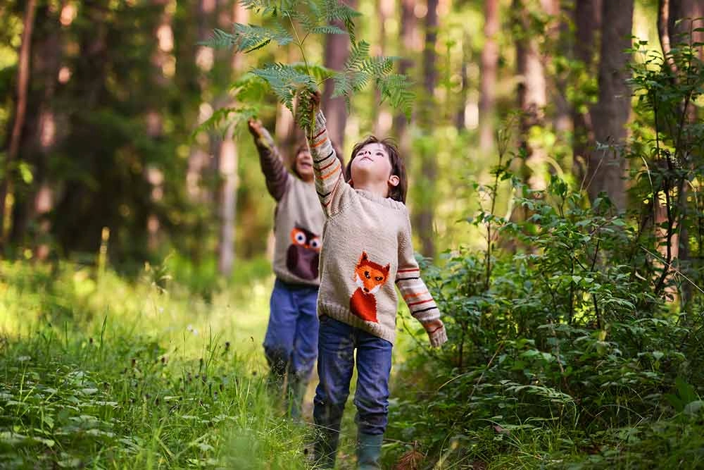 Mercado del patrimonio